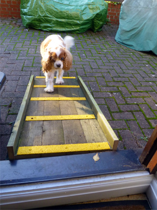 High visibility, non slip, decking ramp for pet safe walkway. high vis non slip deck ramp for pet safe walkway