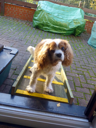 Pet safe! High vis, anti slip strips for slippery ramp. Pet safe! High vis, anti slip strips for slippery ramp.