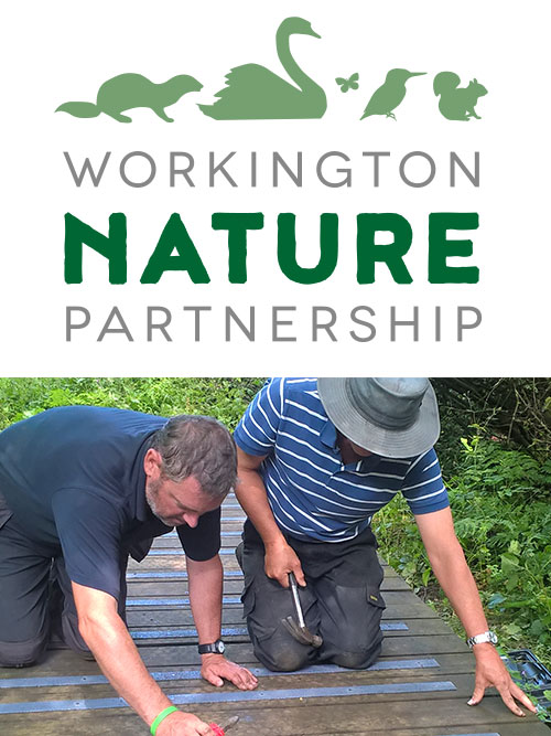 The Project is supported by the Friends of Harrington Nature Reserve group. The Project is supported by the Friends of Harrington Nature Reserve group.