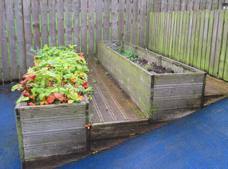 Before: algae or moss makes wooden decking slippery. Before: algae or moss makes wooden decking slippery.
